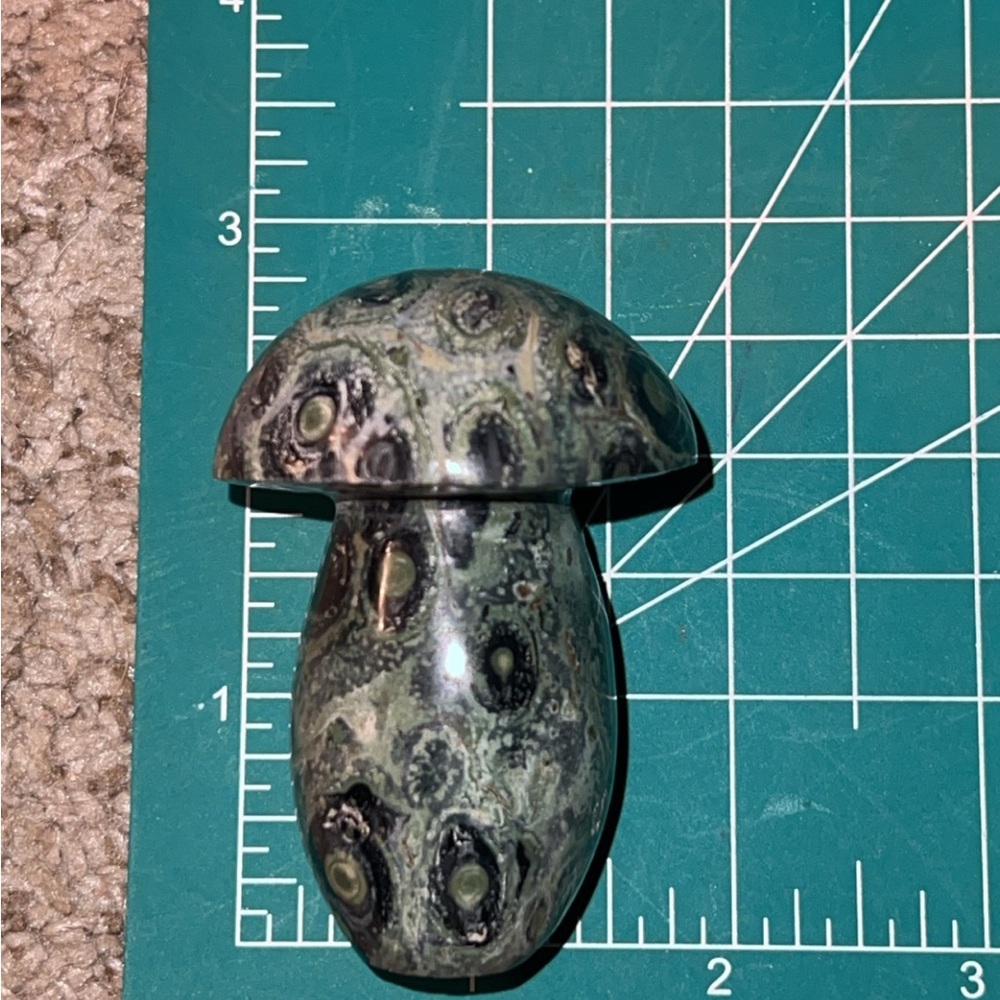 Kambaba Jasper Mushroom - Picture 5 of 5